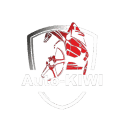 logo Kiwi auto centrum